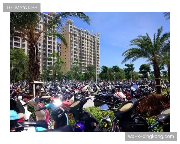 TI15期间上海交通指南:看比赛千万别开车,场馆周边的车位已经排到明年了🚗 TI15期间上海交通指南:看比赛千万别开车,场馆周边的车位已经排到明年了🚗
